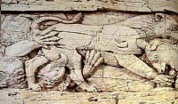 Ivory Panel